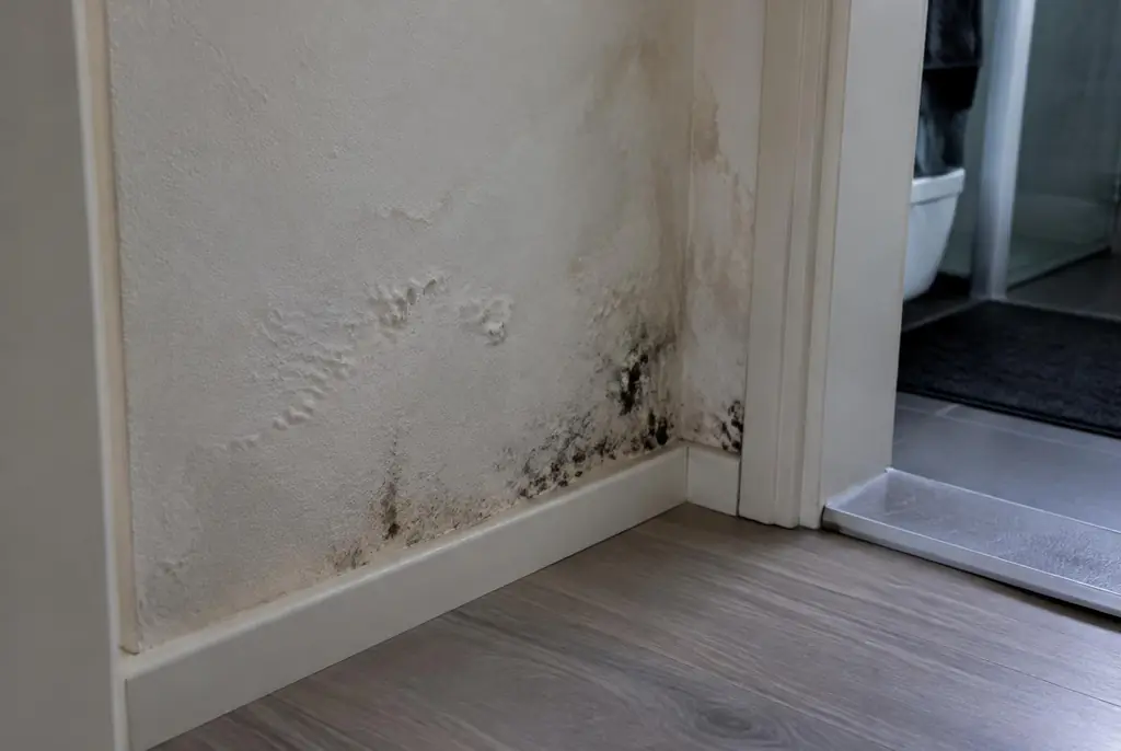 Lekdetectie Almere – vochtplek met schimmel op een muur